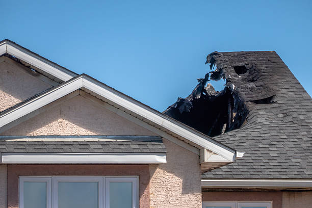 Licensed Fire Damage Repair service in Green Isle, MN - Fire Damage Laser Cleaning